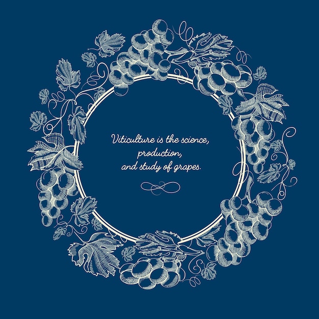 Бесплатное векторное изображение Абстрактный натуральный синий старинный плакат с надписью в круглой рамке и гроздья винограда в стиле эскиза
