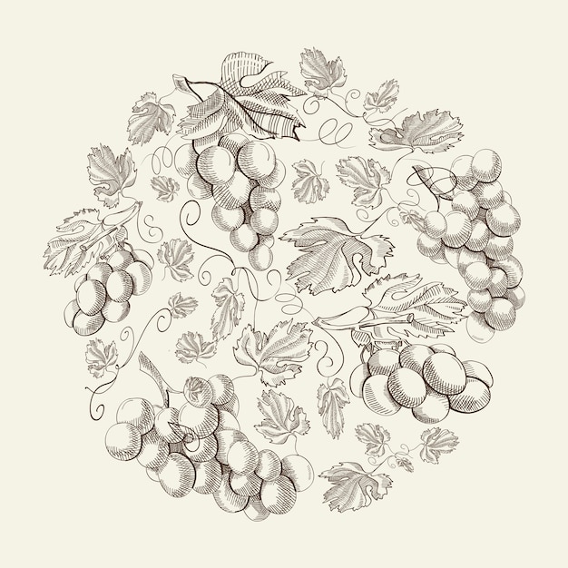 Abstract natural floral vintage composition with grapes bunches in hand drawn style on light 