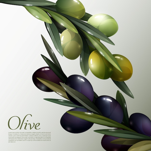 Free vector abstract olive branches poster