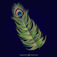 Free vector abstract peacock feather