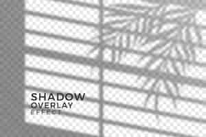 Free vector abstract transparent shadows concept