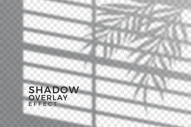 Abstract transparent shadows concept