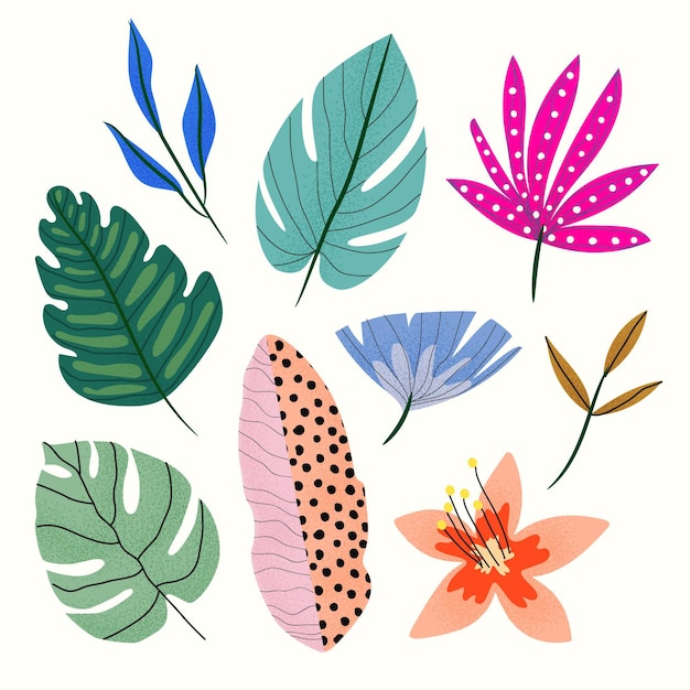 Abstract tropical leaves collection