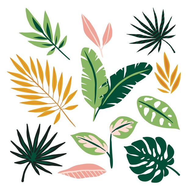 Abstract tropical leaves concept