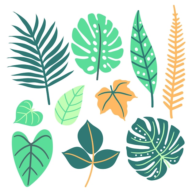 Free vector abstract tropical leaves concept