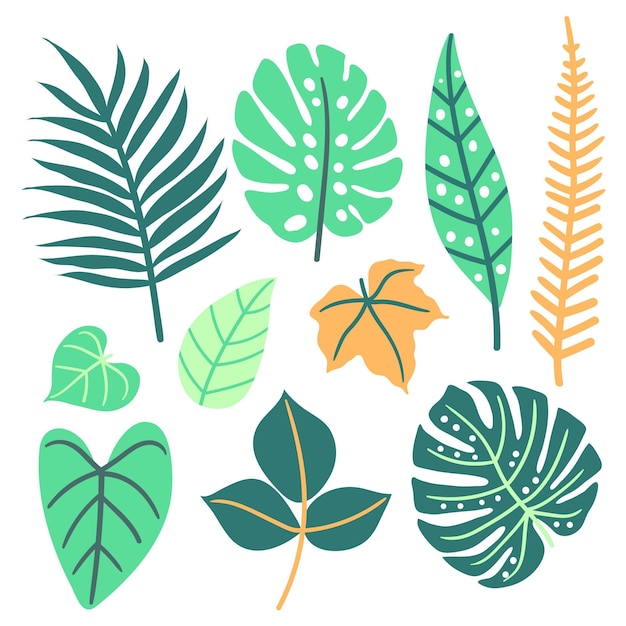 抽象的な熱帯の葉のコンセプト