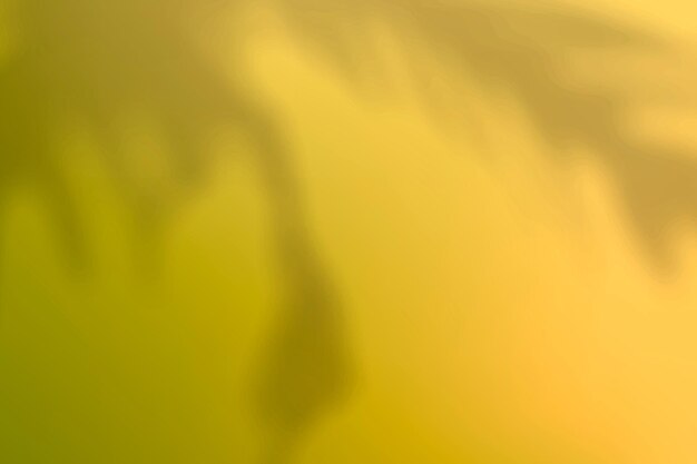 Abstract yellow gradient background vector with plant shadow