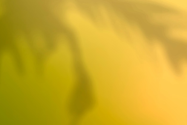 植物の影と抽象的な黄色のグラデーションの背景ベクトル