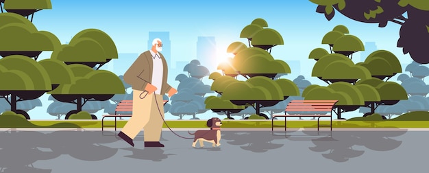 彼の小さな犬の祖父と一緒に公園を歩いているアクティブな年配の男性は、都市公園の水平全長ベクトル図でペットとリラックスします。 Premiumベクター