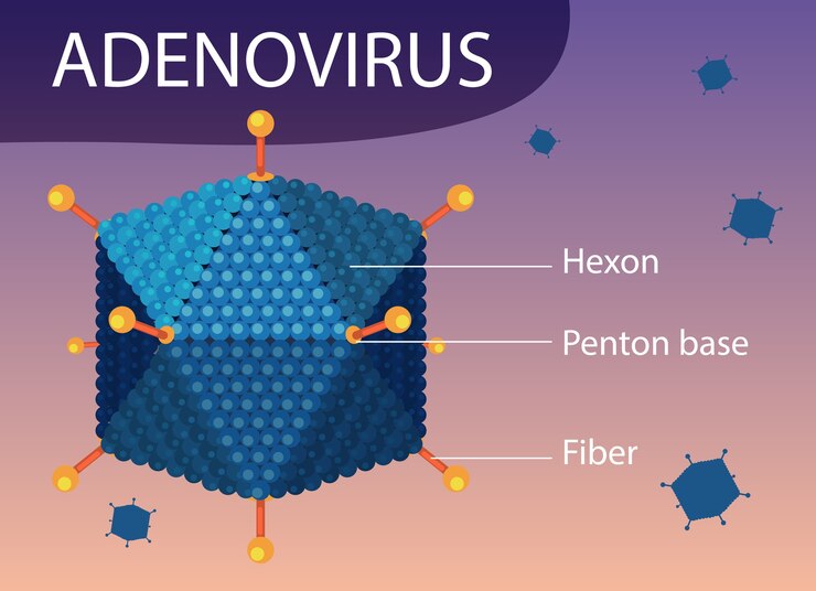 Free Vector adenovirus structure diagram on virus icon background