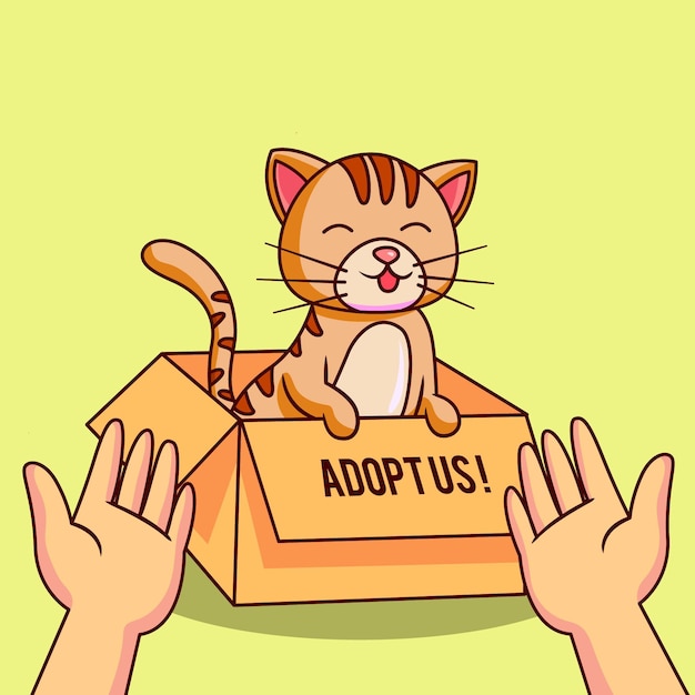 Adopt a pet concept with cat in box