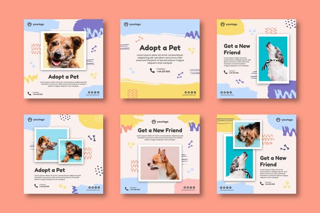 Adopt a pet instagram posts collection