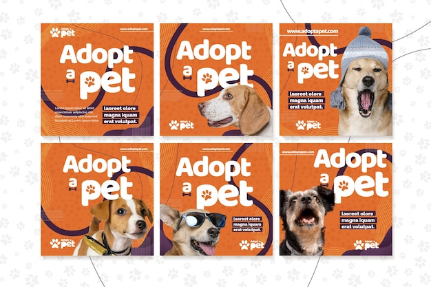 Adopt a pet instagram posts collection