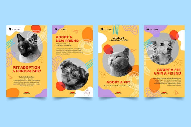 Adopt a pet instagram stories template