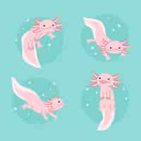 Free vector adorable marine ajolote collection
