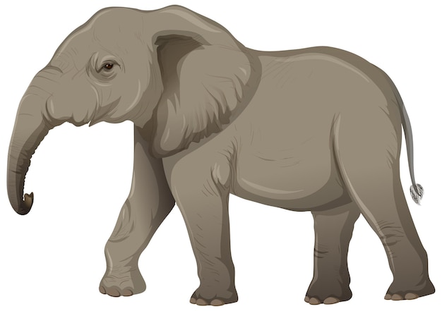 Взрослый слон без слоновой кости в мультяшном стиле на белом фоне