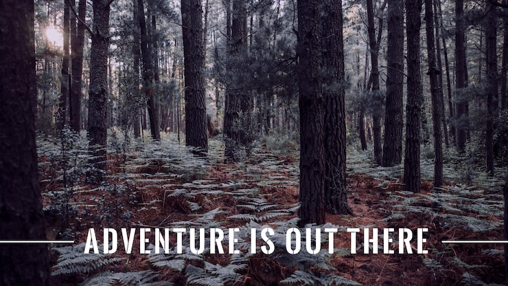 Free Vector adventure quote with photo
