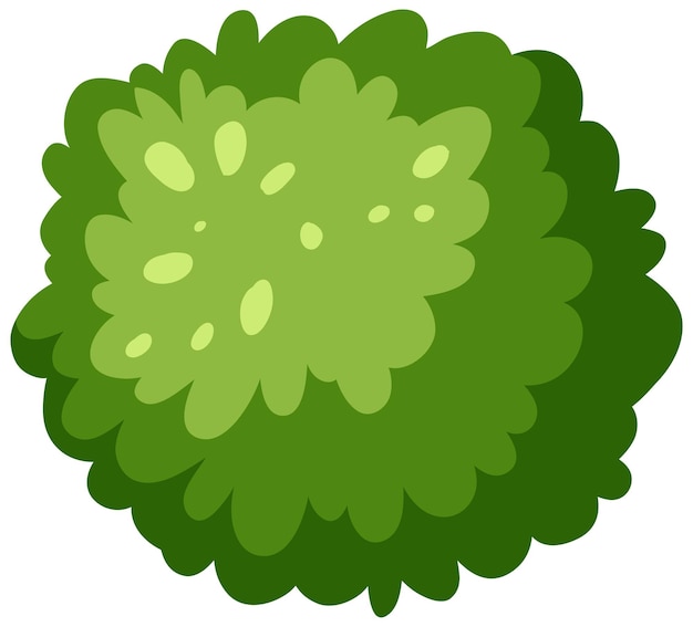 흰색 배경에 고립 된 녹색 부시의 공중 보기