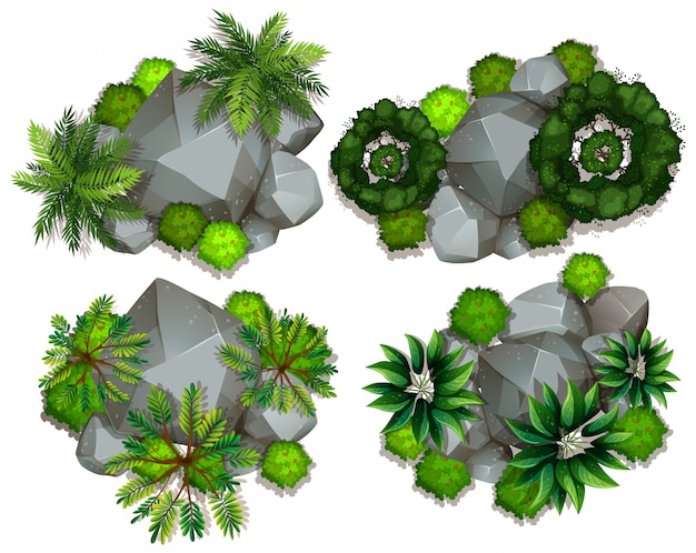 Вид с воздуха на растения и камни