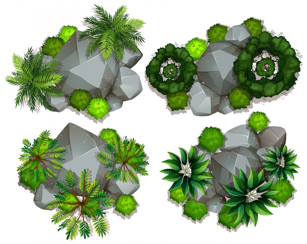 無料ベクター 植物と岩の空撮