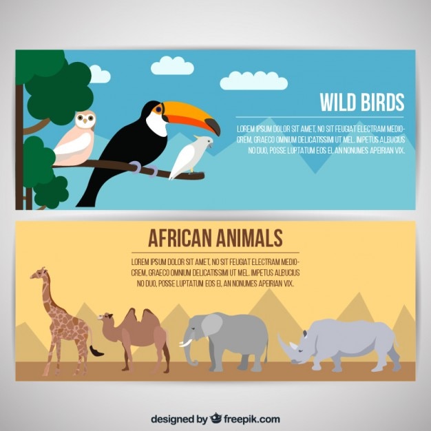 Бесплатное векторное изображение Африканских животных и диких птиц баннеры