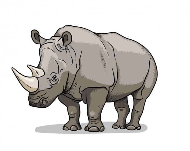 漫画のスタイルで分離されたアフリカのサバンナ動物サイ 本の絵を着色教育動物学イラスト プレミアムベクター