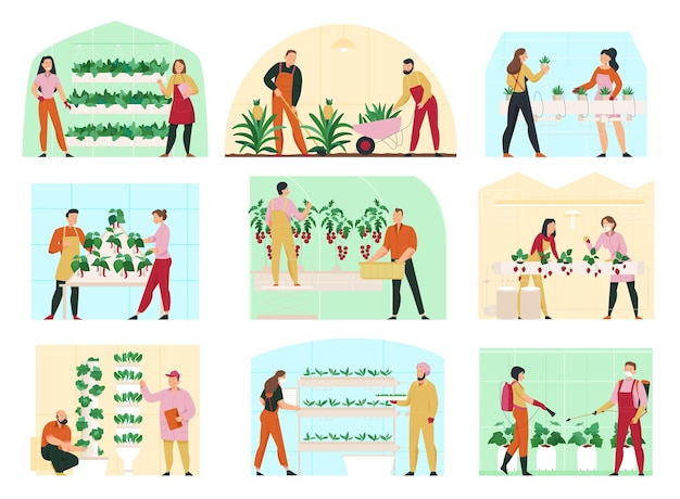 Free vector agriculture flat composition set with men and women looking after greenhouse plants isolated vector illustration