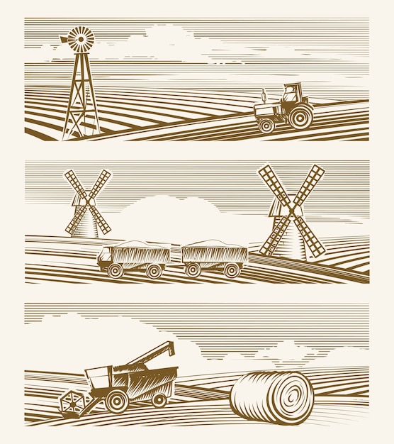 Free vector agriculture landscapes. set of sketches or engraving harvest with appliances.