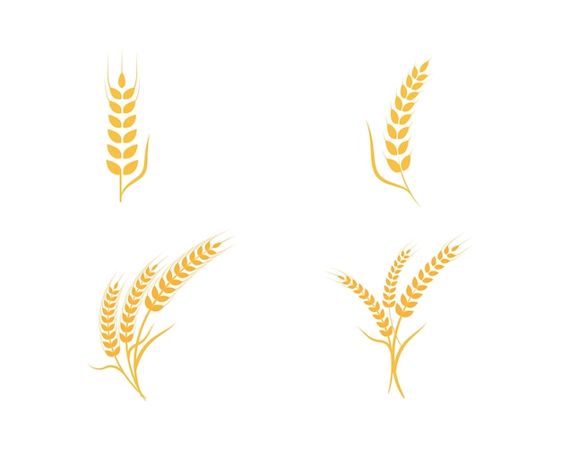 Agriculture wheat logo template Premium Vector