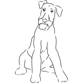 Эрдельтерьер собака рука набросал векторный рисунок