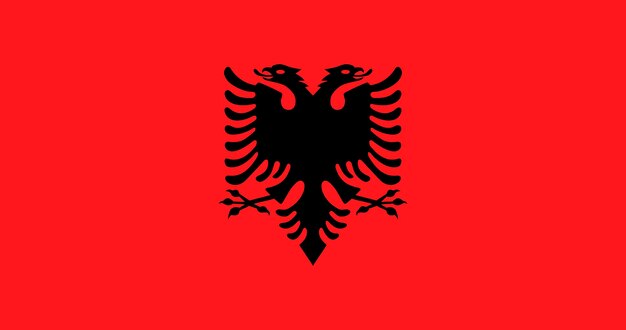 Albanian flag pattern vector