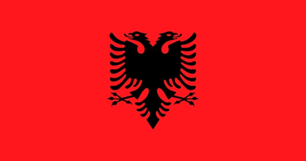 Albanian flag pattern vector