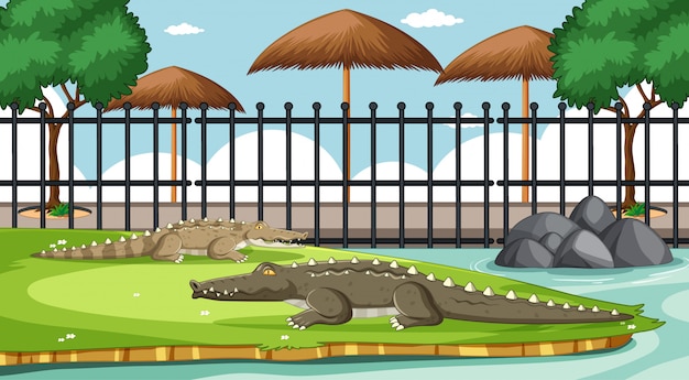 Free vector alligator in the zoo scene