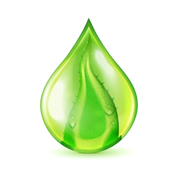 Aloe Leaf Waterdrop Illustration