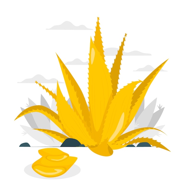 Free vector aloe vera concept illustration