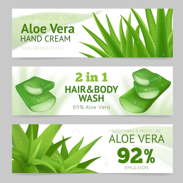 Vettore gratuito l'aloe vera lascia la bandiera