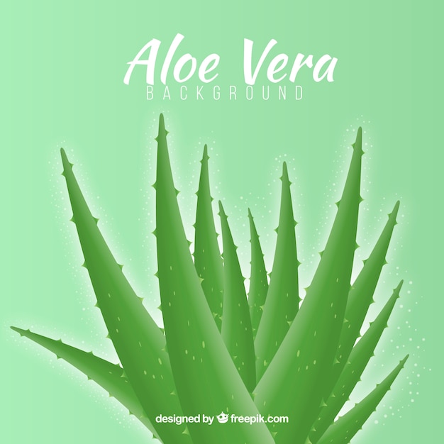 Vettore gratuito aloe vera pianta sfondo