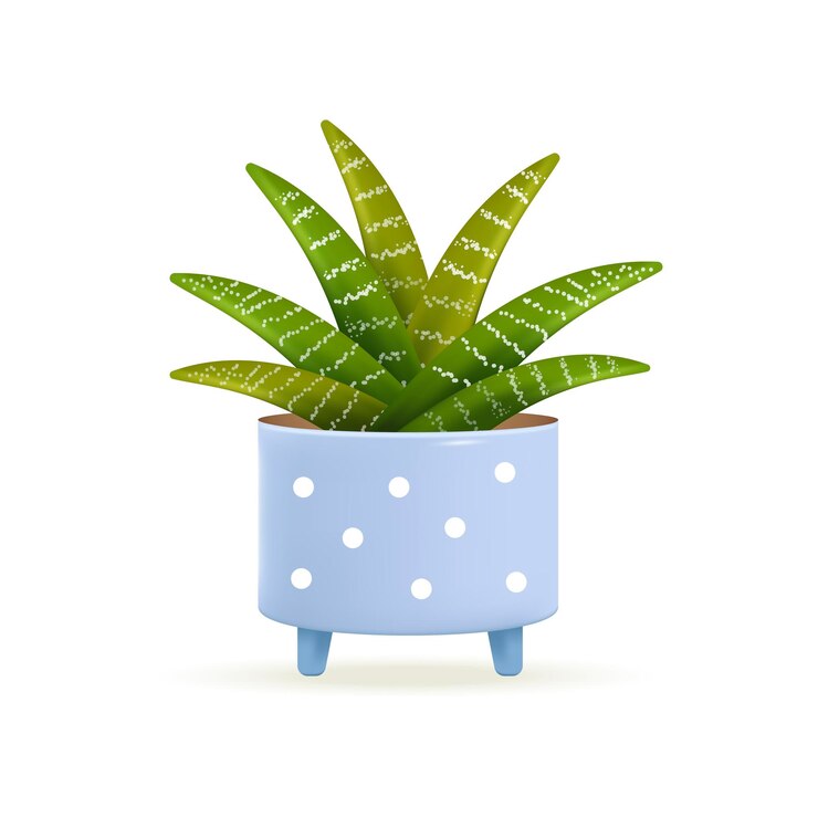 Free Vector aloe vera plant in pot 3d vector illustration. indoor garden potted cactus or succulent for house decoration in cartoon style isolated on white background. plants, nature, home interior concept