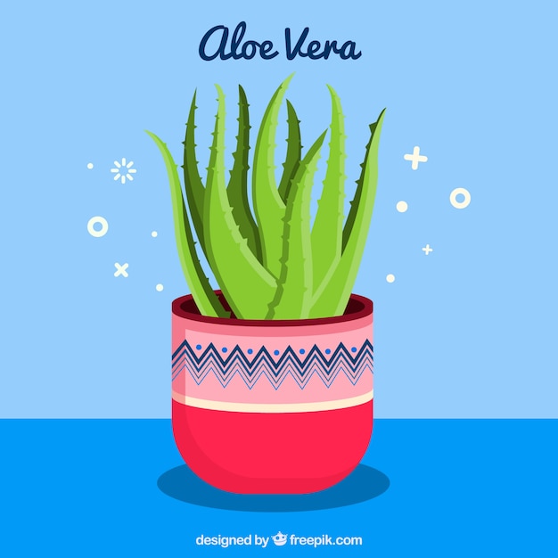 Vettore gratuito pianta di aloe vera