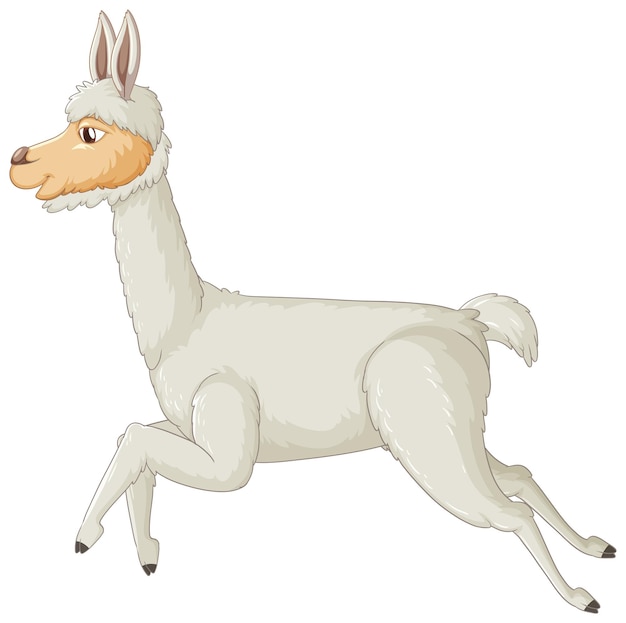 An alpaca on white background