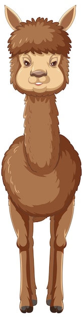 Free vector an alpaca on white background