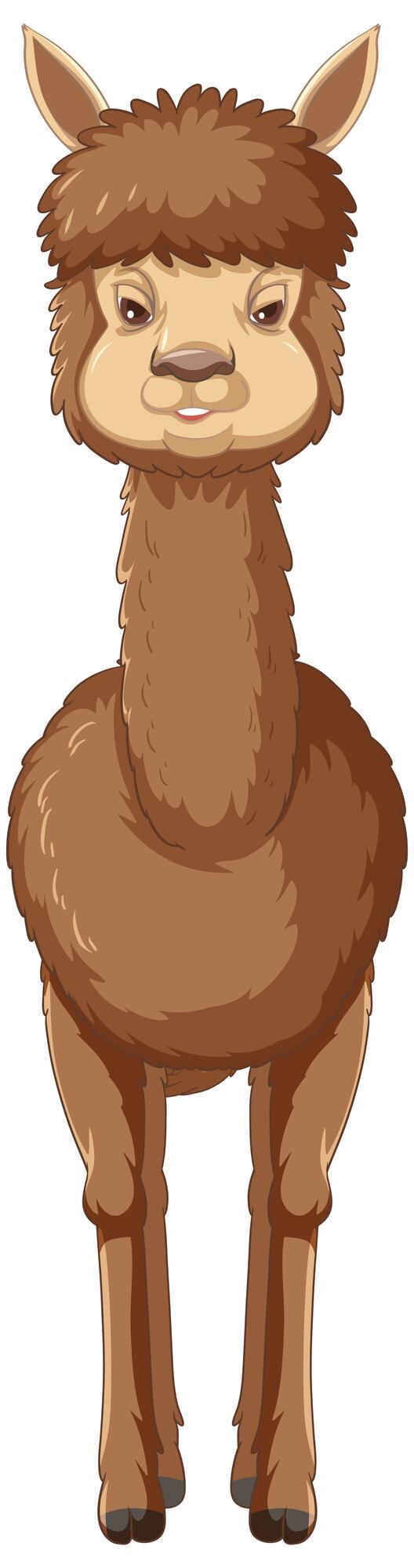 Free Vector an alpaca on white background