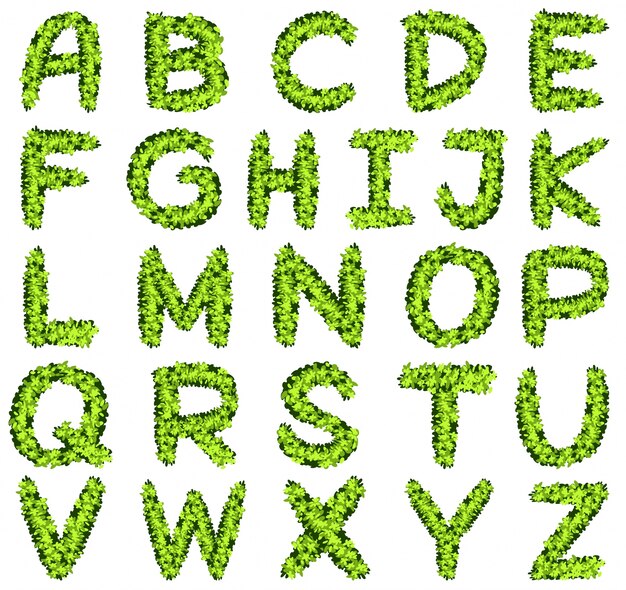 녹색 잎에 알파벳 디자인