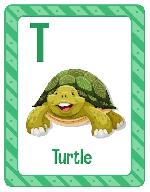 Free vector alphabet flashcard with letter t for turtle