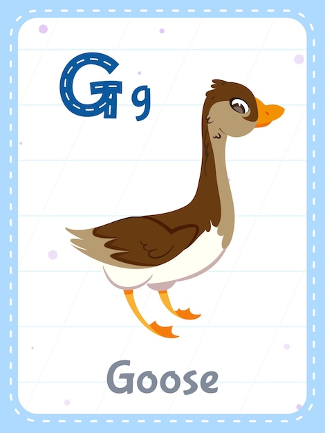 Free vector alphabet printable flashcard with letter g and goose animal