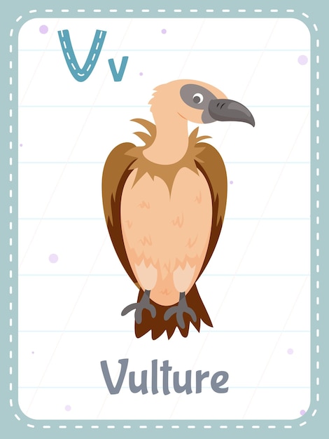 Бесплатное векторное изображение Карточка с алфавитом для печати с буквой v и птицей-стервятником