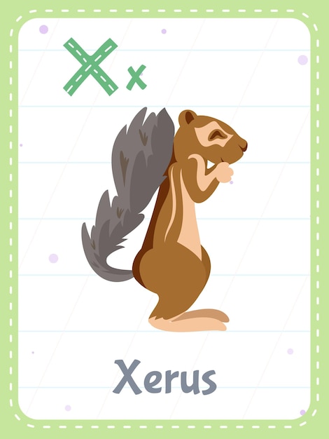 Free vector alphabet printable flashcard with letter x and xerus animal