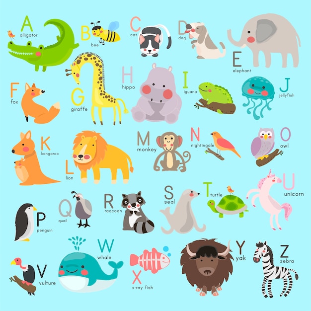 動物のアルファベット