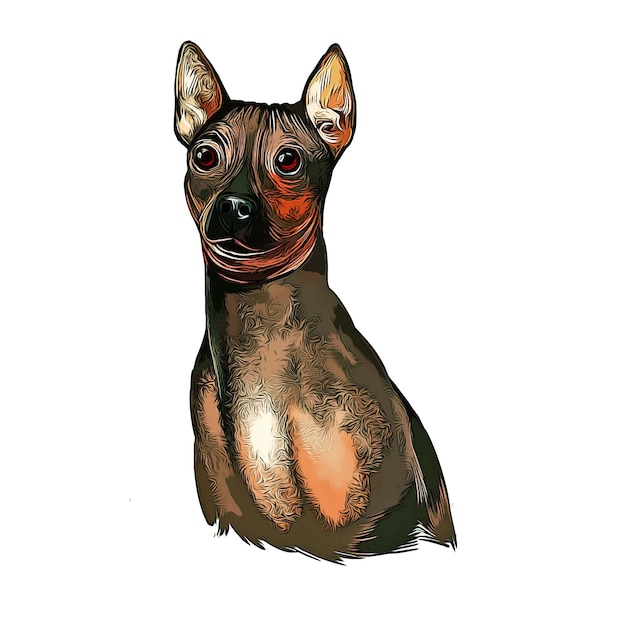 Американский лысый терьер aht собака акварельный эскиз рисованной иллюстрации Premium векторы