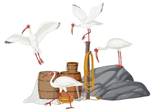 Free vector american white ibis group